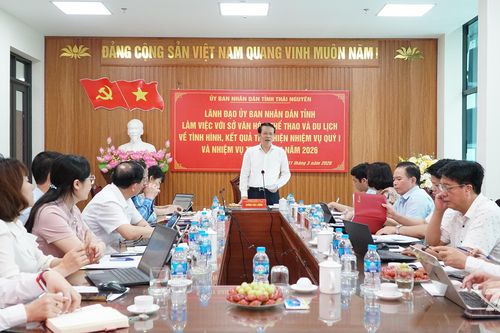Nâng cao hiệu quả quản lý lĩnh vực văn hóa, thể thao và du lịch
