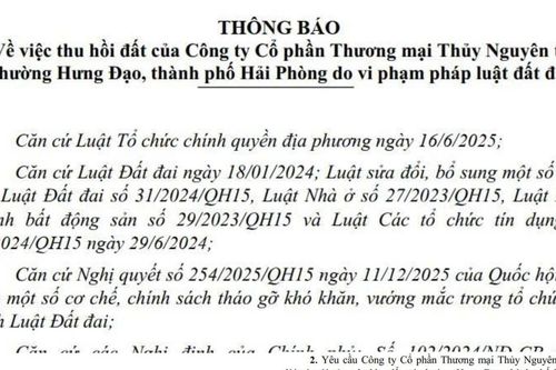 Hải Phòng: Thu hồi hơn 2.200m2 đất của Công ty Cổ phần Thương mại Thủy Nguyên