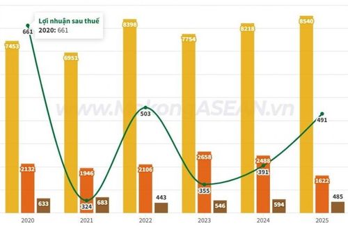 Vinacafé Biên Hòa sẽ không chia cổ tức năm 2025
