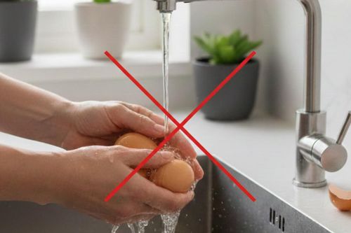 Sai lầm khi rửa trứng hàng triệu người mắc phải mỗi ngày