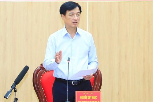 Tỉnh ủy Ninh Bình cần tăng cường vai trò kiểm tra, giám sát của cấp ủy