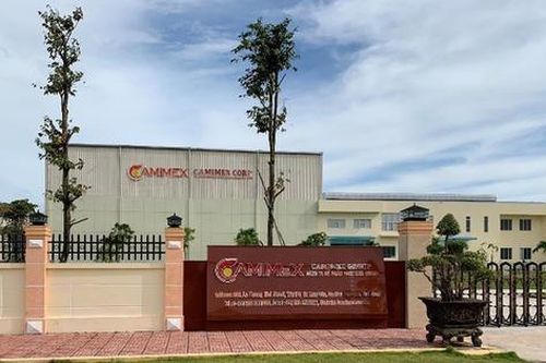 Khai sai thuế, Camimex Group (CMX) bị xử phạt vi phạm hành chính