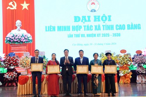 Đại hội Liên minh Hợp tác xã tỉnh lần thứ VII, nhiệm kỳ 2025 - 2030.