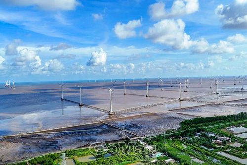 Cà Mau tiên phong phát triển kinh tế xanh gắn với tăng trưởng xanh