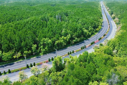 Vingroup đề xuất mở đường Rừng Sác lên 10 làn xe, nối đến khu đô thị Cần Giờ
