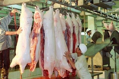 Chương Mỹ: Chấm dứt hoạt động giết mổ gia súc, gia cầm không đủ điều kiện trước 30-6