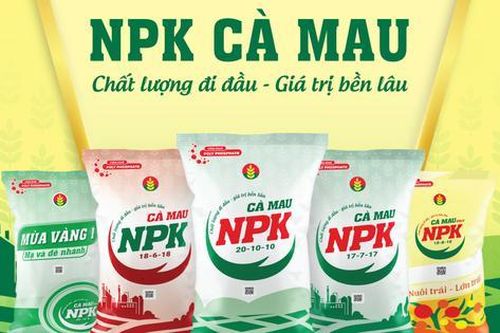 BSC khuyến nghị mua cổ phiếu DCM