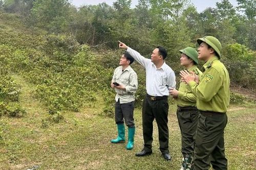 Hỗ trợ, huy động người dân bảo vệ rừng ở Thái Nguyên