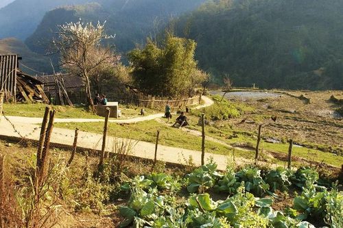 Giới thiệu 17 tác phẩm tiêu biểu của điện ảnh Việt Nam 40 năm đổi mới