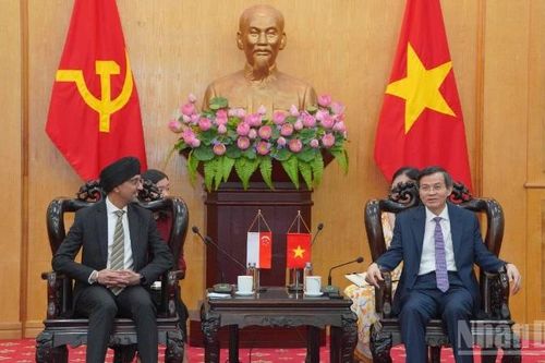 Tăng cường hợp tác đào tạo cán bộ lãnh đạo cấp chiến lược giữa Việt Nam và Singapore