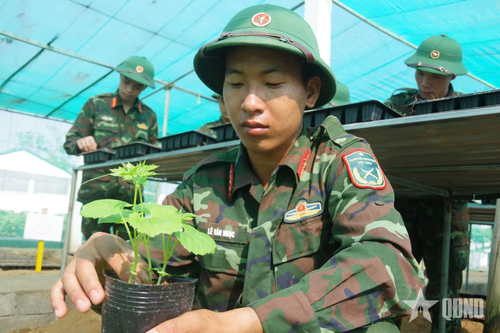 Trung đoàn 841, Bộ CHQS tỉnh Hà Tĩnh tăng gia sản xuất giỏi