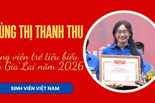 Phùng Thị Thanh Thu: Đảng viên trẻ tiêu biểu tỉnh Gia Lai năm 2026