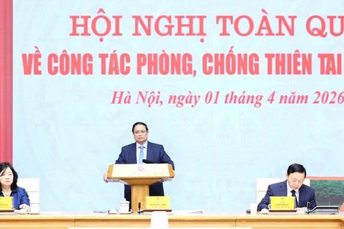 Xây dựng toàn diện các phương án ứng phó với thiên tai