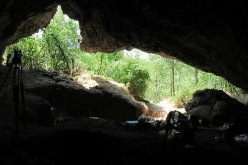 Phân tích ADN, phát hiện bí mật lớn về người Neanderthal ở châu Âu