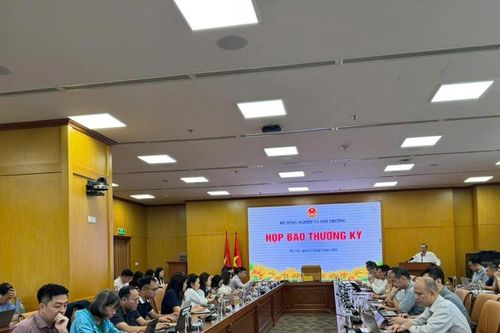 Đại diện Bộ NN&MT nói về vụ 300 tấn thịt lợn bệnh tuồn ra thị trường, đi vào trường học