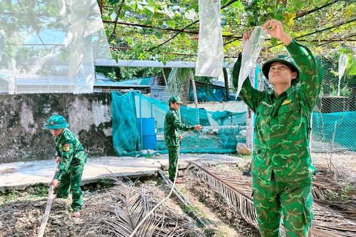 Mầm xanh nơi đảo xa