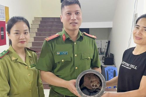 Cu li quý hiếm bò vào nhà dân ở Sơn La