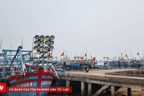 Ngư dân Thanh Hóa chật vật vì chi phí tăng cao