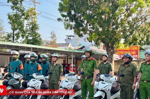 Tây Ninh: Tổ 373 xử lý hàng trăm vụ việc vi phạm