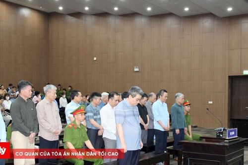 Các luật sư nói gì khi bào chữa cho thân chủ trong 'đại án' đấu thầu?