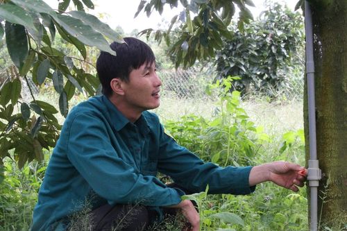 Biến động xăng dầu: Người dân Tây Nguyên chuyển điện mặt trời, đổi cách tưới cây