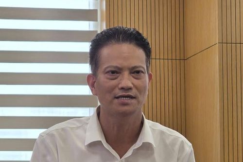 Phó Cục trưởng Môi trường nói về việc chưa phát hiện sai phạm tại trạm quan trắc