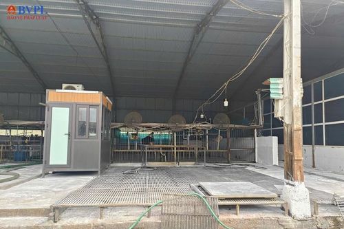 Cận cảnh lò mổ không biển hiệu giữa khu giết mổ tập trung