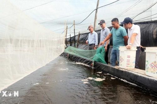 Phát triển nuôi trồng thủy sản hồ chứa, kỳ vọng đạt 16.000 tỷ đồng mỗi năm