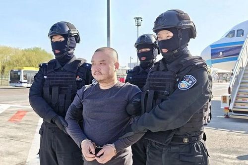 Trung Quốc dẫn độ thành viên chủ chốt của băng nhóm tội phạm Trần Chí về nước