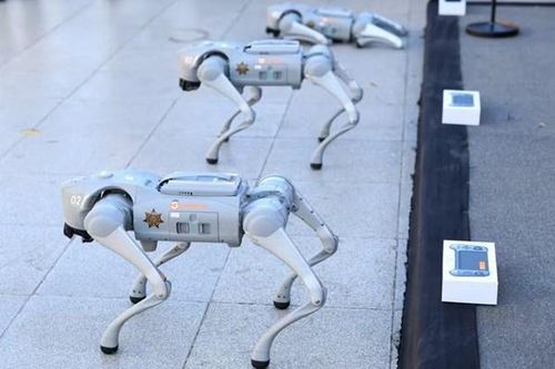 Đột phá điều khiển chó robot thông qua ý nghĩ