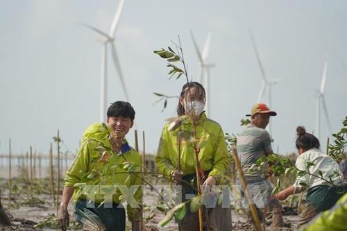Hợp tác trồng 240.000 cây xanh tại Đồng bằng sông Cửu Long