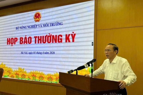 Vụ 300 tấn thịt lợn bệnh: Thứ trưởng Phùng Đức Tiến yêu cầu làm rõ trách nhiệm