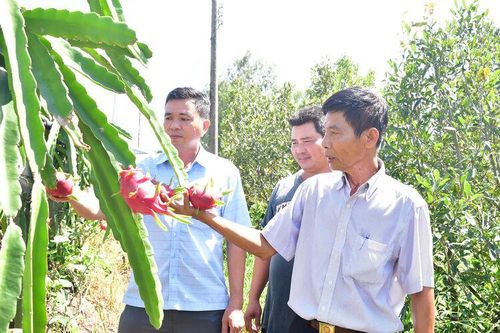 Hơn 25 năm tận tụy vì dân