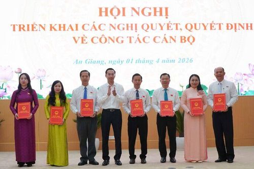 Thường trực HĐND tỉnh An Giang triển khai các nghị quyết, quyết định về công tác cán bộ