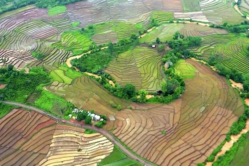 Ruộng bậc thang giữa đại ngàn