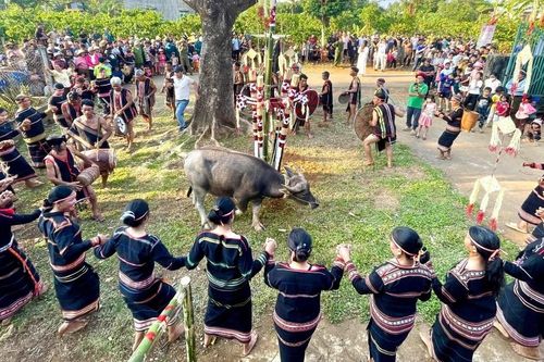 Làng Bẹk mở hội mừng chiến thắng