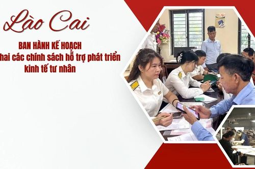 Lào Cai ban hành kế hoạch triển khai các chính sách hỗ trợ phát triển kinh tế tư nhân