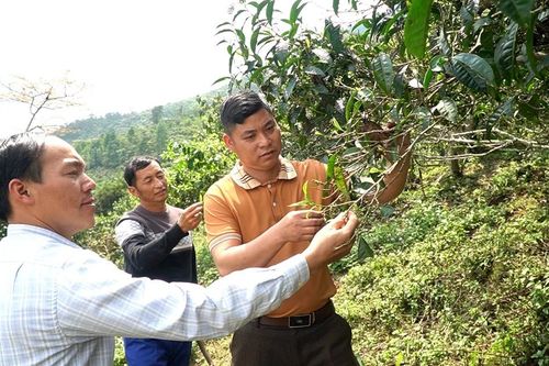 Khi người trẻ dẫn lối, mở đường