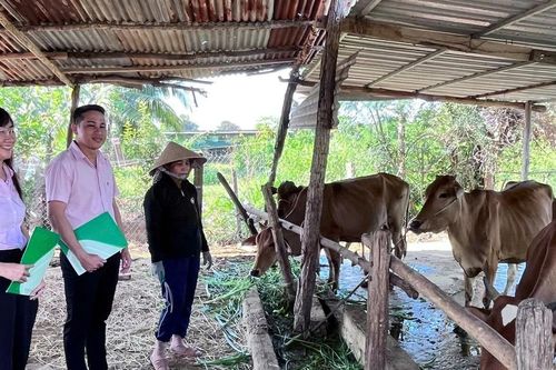 Phát triển kinh tế vùng DTTS từ cách trao 'cần câu'