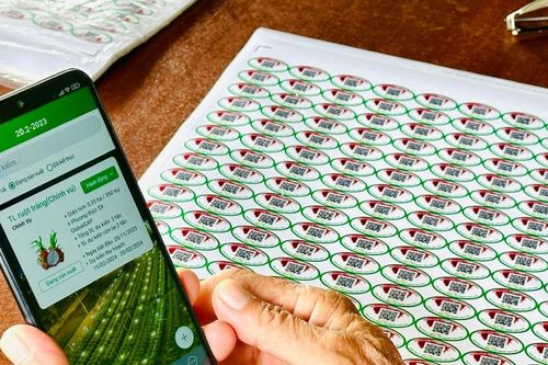 Lâm Đồng triển khai truy xuất nguồn gốc nông, lâm, thủy sản năm 2026