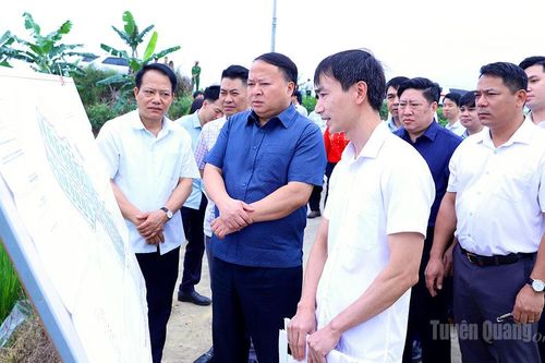 Chủ tịch UBND tỉnh Phan Huy Ngọc khảo sát quy hoạch hạ tầng giao thông và khu, cụm công nghiệp phía Nam tỉnh