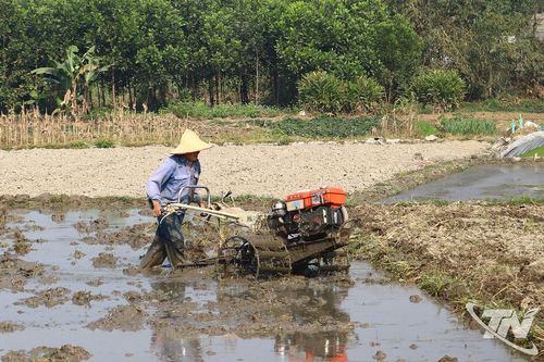 Sức sống mới ở An Khánh