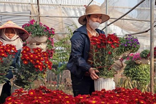Bao giờ HTX mới tiếp cận được nguồn tín dụng xanh