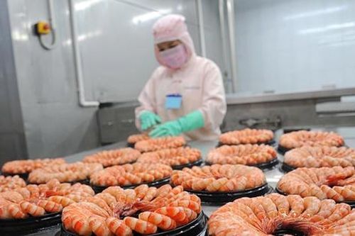 Thực phẩm Sao Ta (FMC): Đặt mục tiêu lợi nhuận 2026 tăng trưởng 10%, ưu tiên tăng trưởng theo chiều sâu thay vì mở rộng quy mô