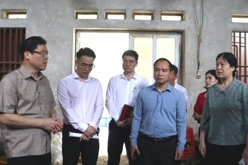 Phó Bí thư Tỉnh ủy Vũ Hồng Quang kiểm tra tình hình thiệt hại thuốc lá do mưa đá gây ra