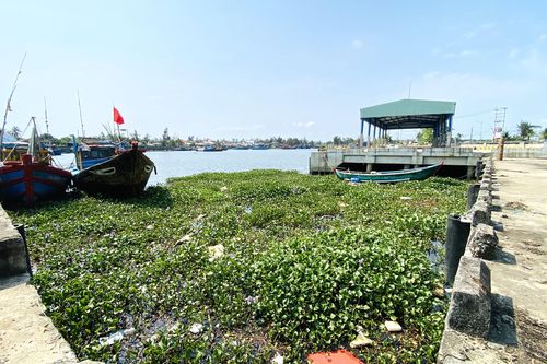Cảng cá 120 tỷ xây xong 'chỉ để ngắm', ngư dân chờ hoài chẳng thấy cảnh bán buôn