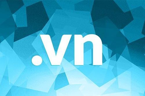 Đấu giá lần đầu, tên miền '.vn' trả giá cao nhất hơn 1,5 tỷ đồng