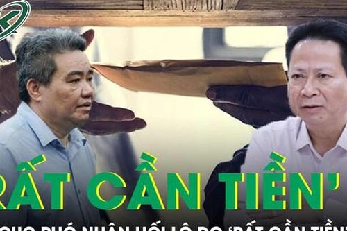 Cựu cục phó nhận hối lộ do 'rất cần tiền', đang rất yếu chưa thể về nước