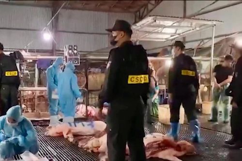Vụ 300 tấn thịt lợn bệnh: Cảnh báo từ 'lỗ hổng' quản lý