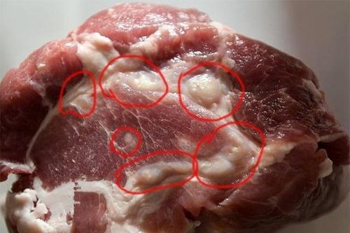 Thịt lợn nhiễm bệnh thường có dấu hiệu này, rẻ mấy cũng không nên mua